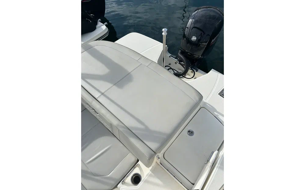 slider 9 Sea Ray 190 SPX