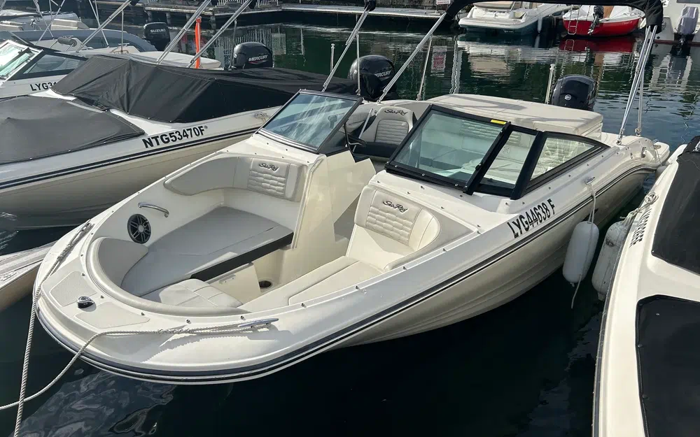 slider 1 Sea Ray 190 SPX