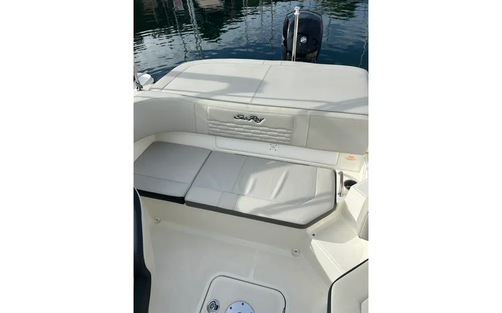 slider 8 Sea Ray 190 SPX