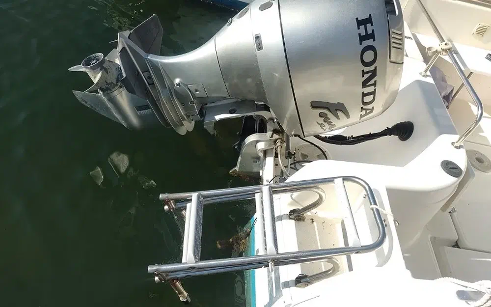 slider 9 Quicksilver 650 Camping