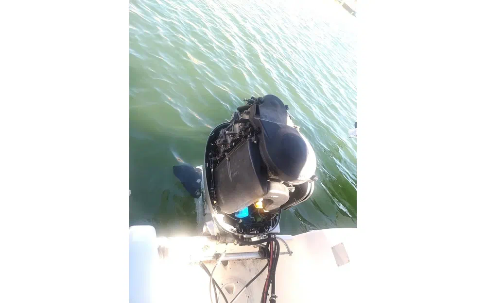 slider 11 Quicksilver 650 Camping