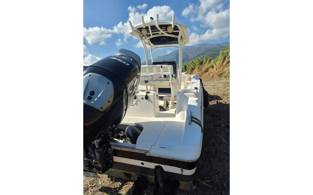 slider 1 Wellcraft 242