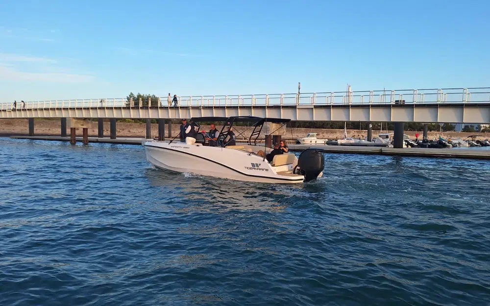 slider 10 Tiger Marine Infinity 280