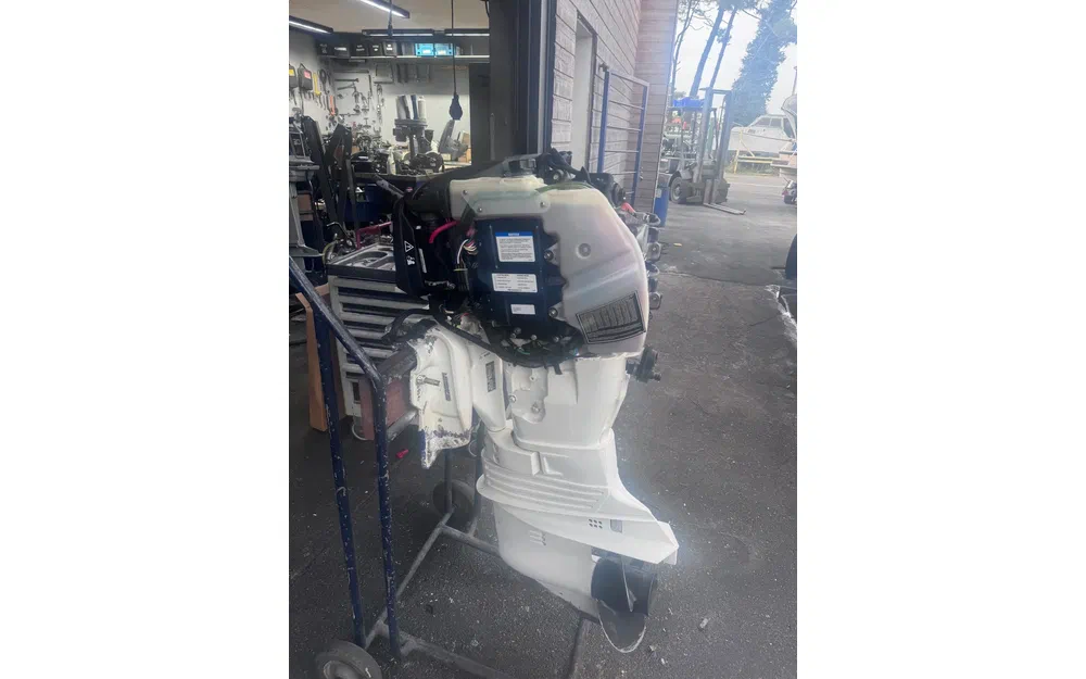 slider 3 EVINRUDE 50cv