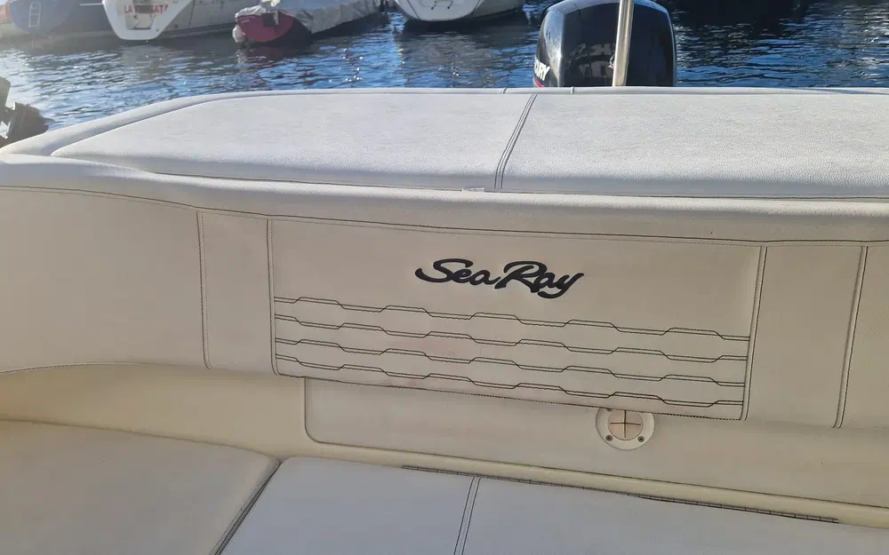 slider 13 Sea Ray Saa Ray 190 SPX + Place de port+ remorque double essieux OB
