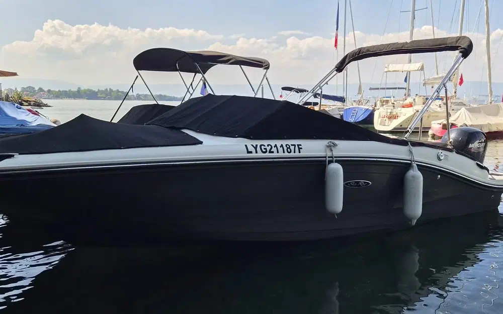 slider 2 Sea Ray Saa Ray 190 SPX + Place de port+ remorque double essieux OB