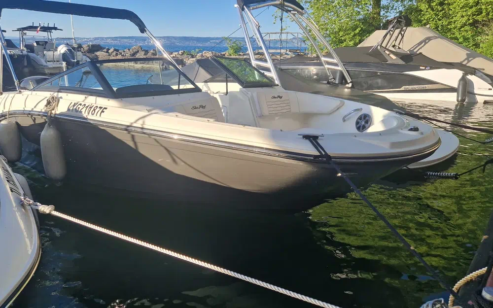 slider 4 Sea Ray Saa Ray 190 SPX + Place de port+ remorque double essieux OB