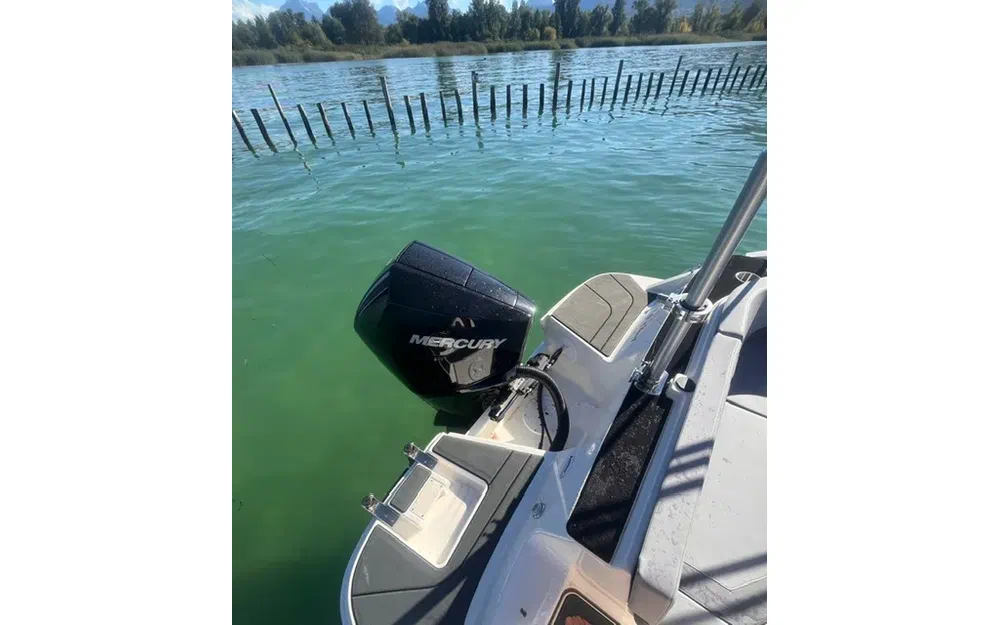 slider 8 Bayliner V20