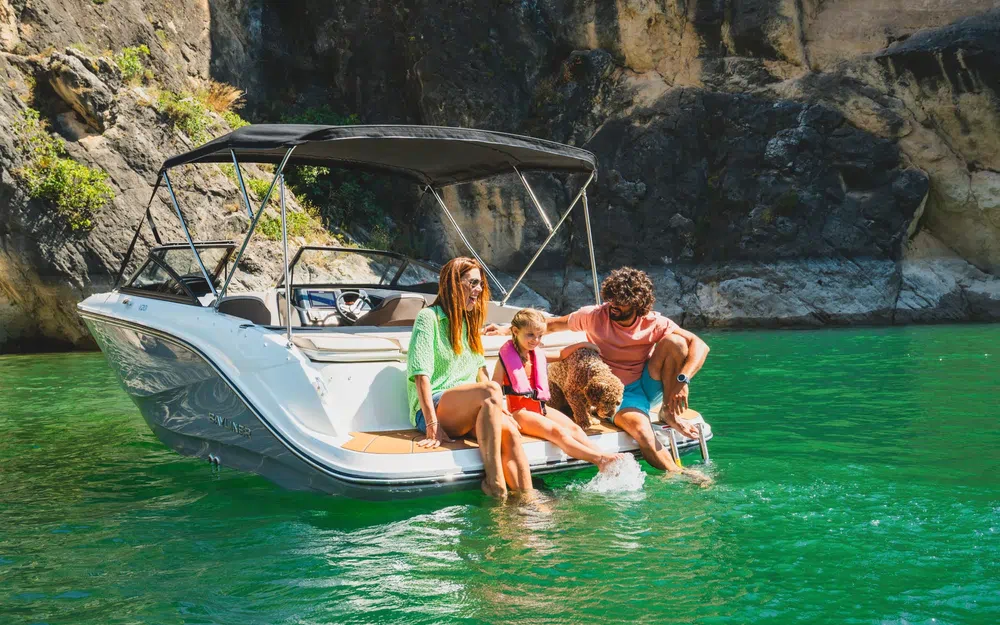 slider 8 Bayliner V20i
