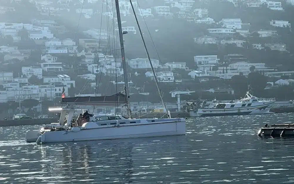 slider 1 Edel Cat 43