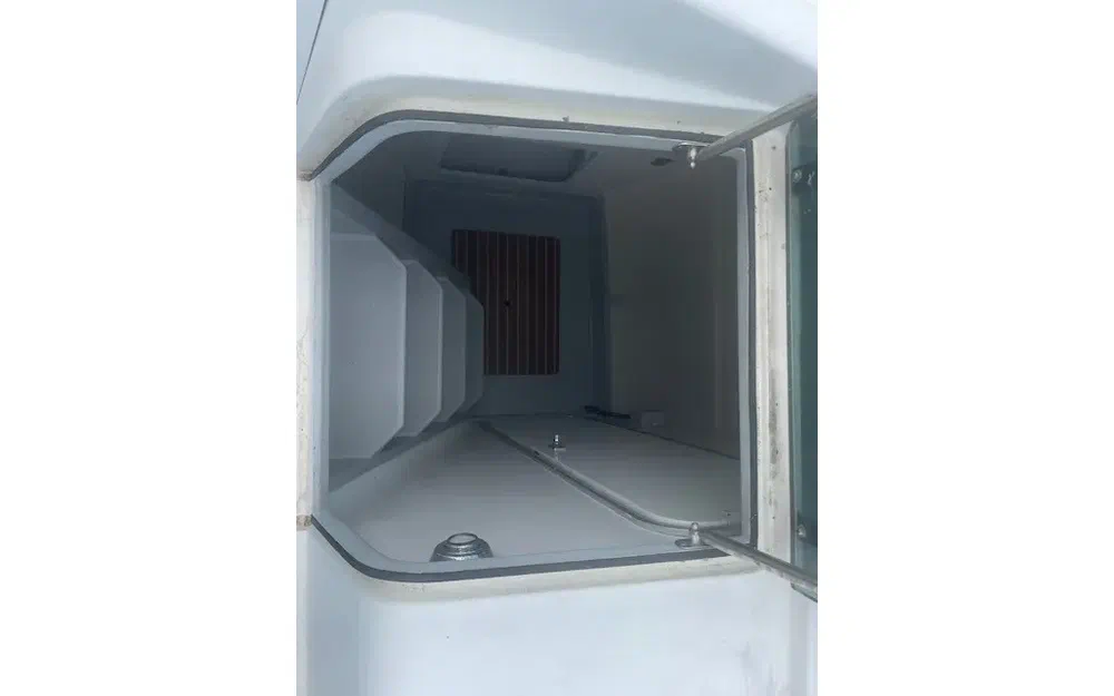slider 31 Edel Cat 43