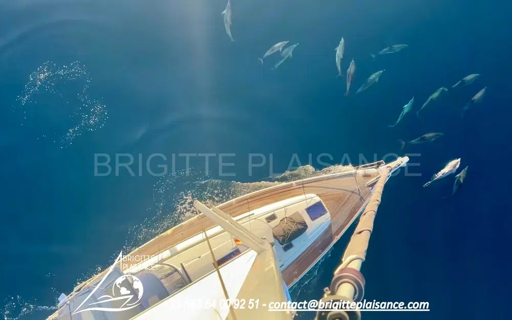 slider 1 Jeanneau Sun Odyssey 449