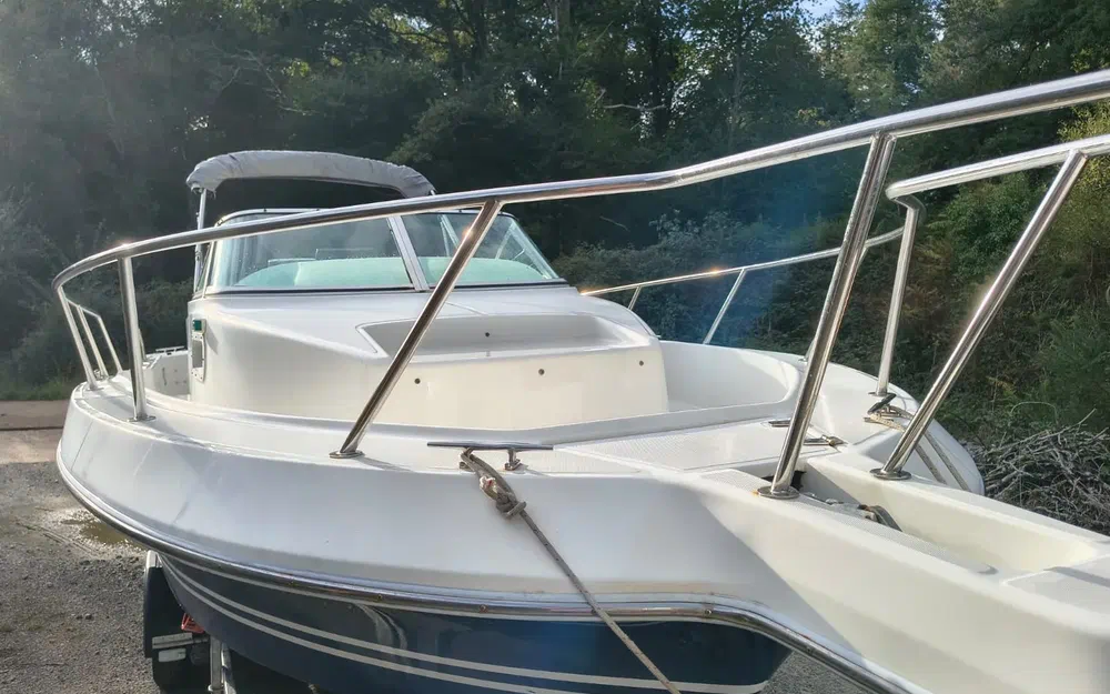 slider 9 Kelt White Shark 236