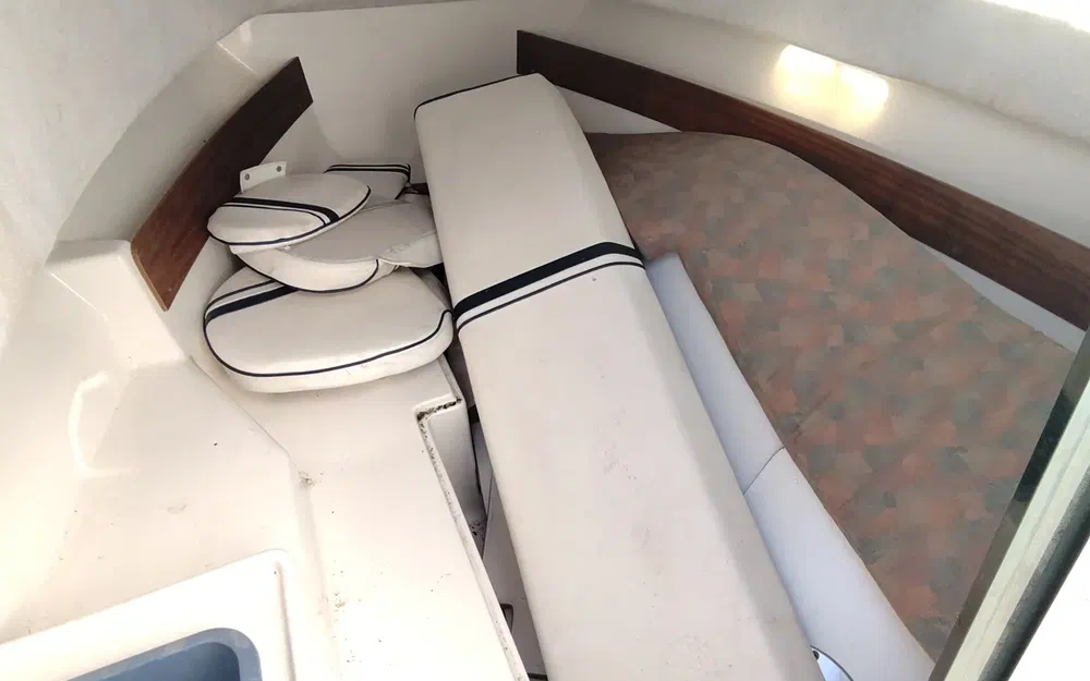 slider 19 Kelt White Shark 236