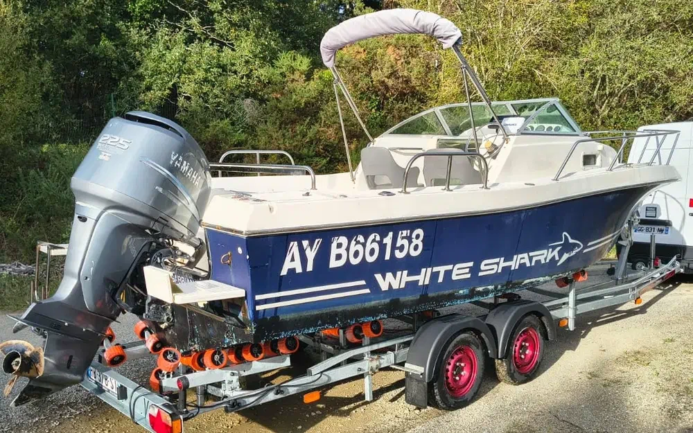 slider 0 Kelt White Shark 236