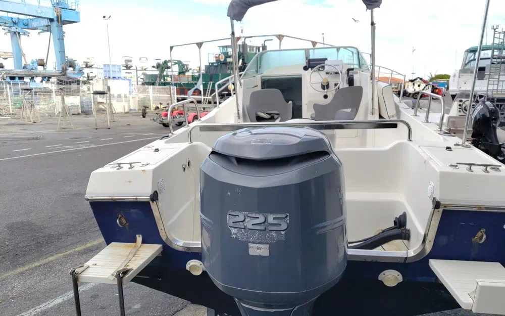 slider 8 Kelt White Shark 236