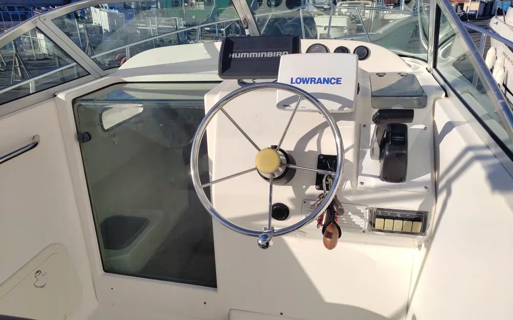 slider 13 Kelt White Shark 236