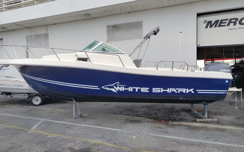 slider 1 Kelt White Shark 236