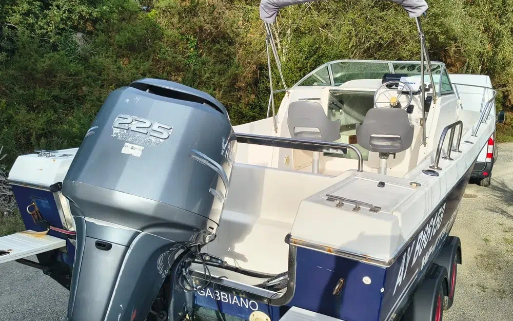 slider 1 Kelt White Shark 236