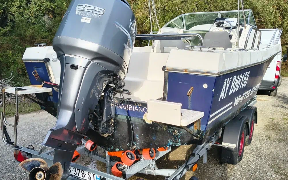 slider 5 Kelt White Shark 236