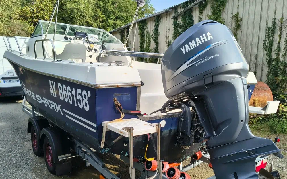 slider 6 Kelt White Shark 236