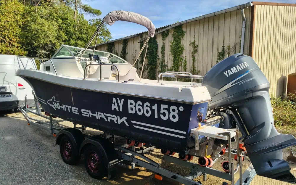 slider 7 Kelt White Shark 236