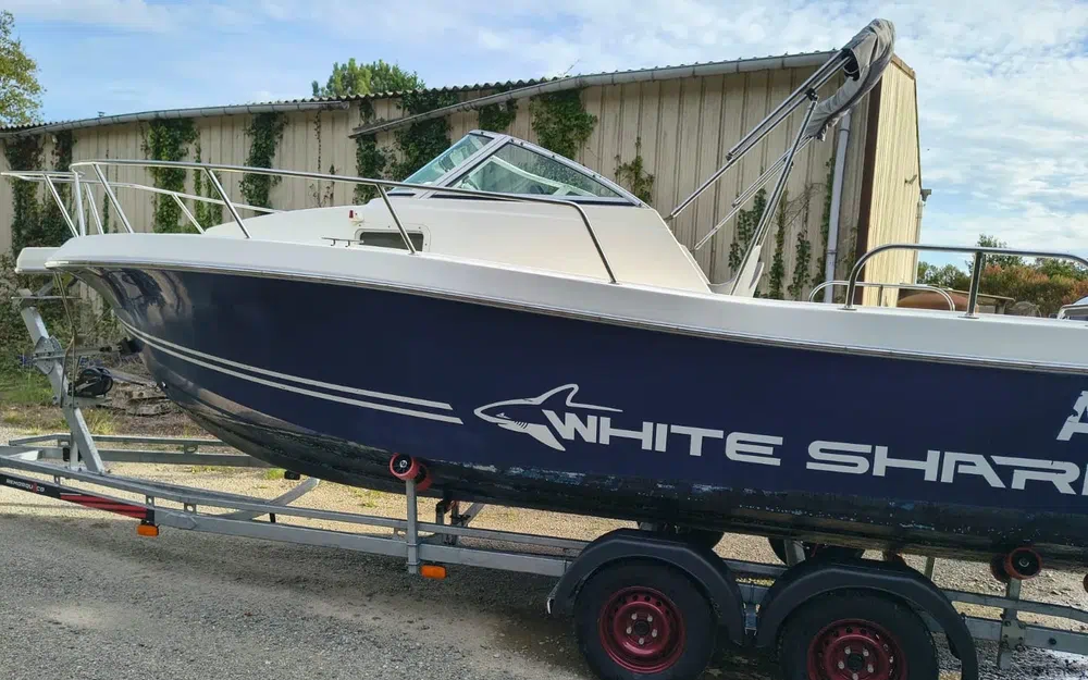 slider 8 Kelt White Shark 236