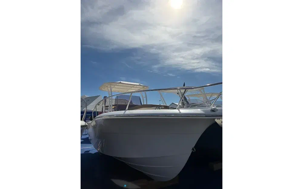 slider 1 White Shark 230 CC