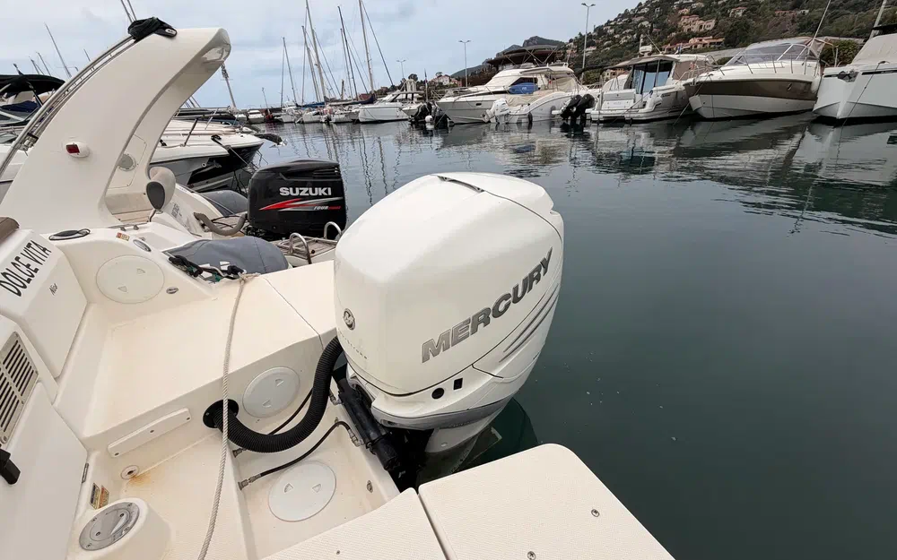 slider 29 Quicksilver Activ 755 Sundeck
