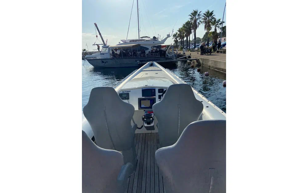 slider 1 Miss Cat Performance 1100 Raid