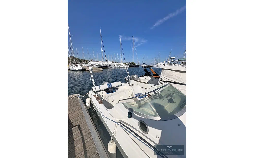 slider 22 B2 Marine Cap Ferret 502 Cc