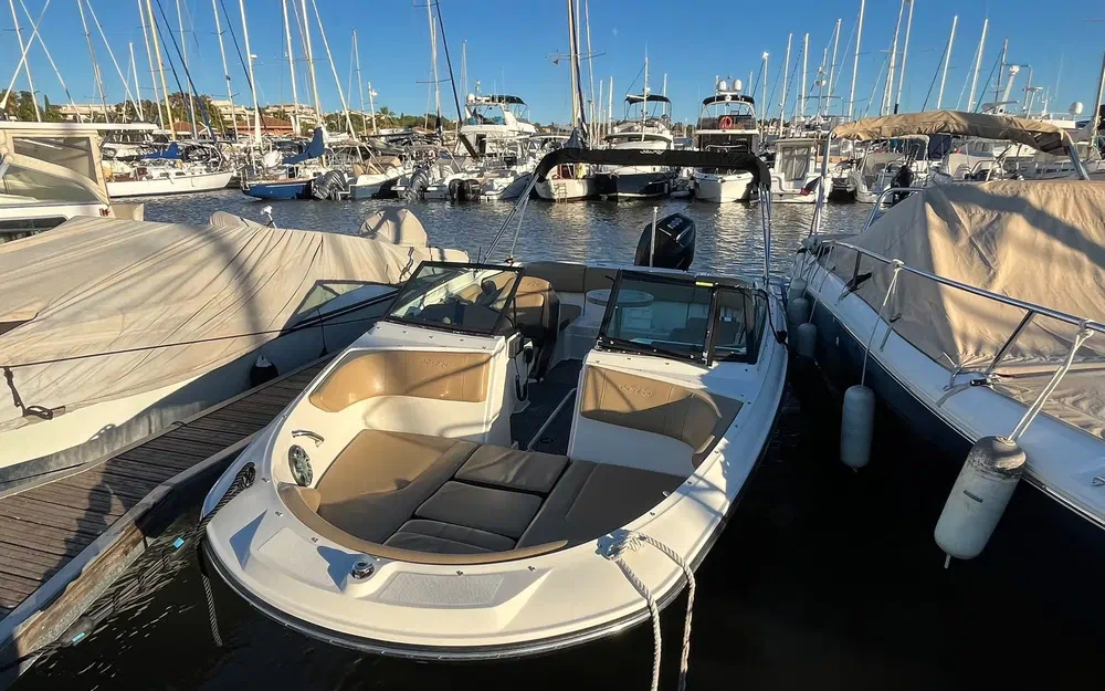 slider 19 Sea Ray 210 SPX OB