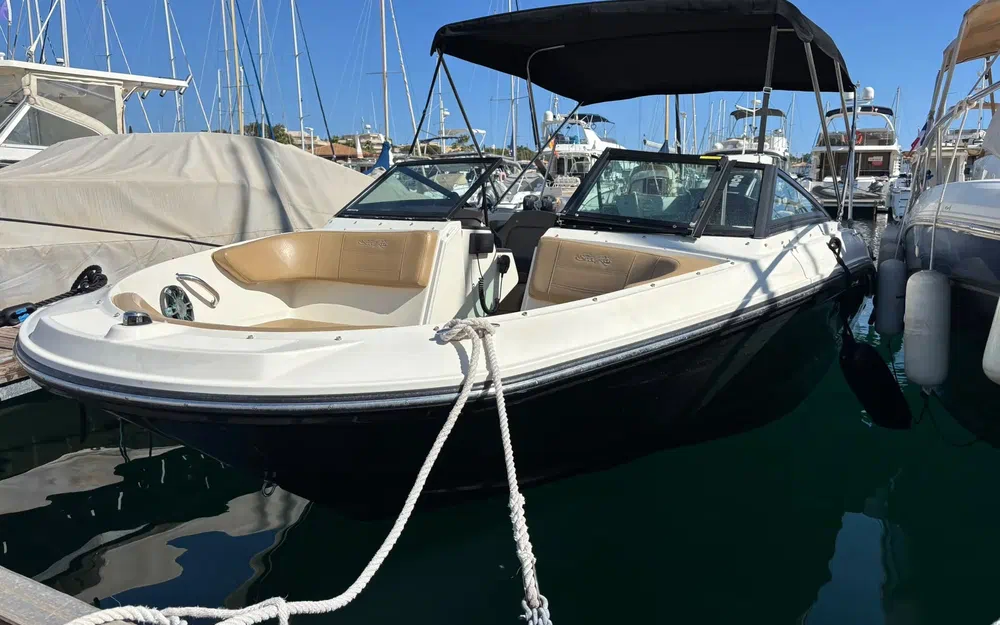 slider 3 Sea Ray 210 SPX OB