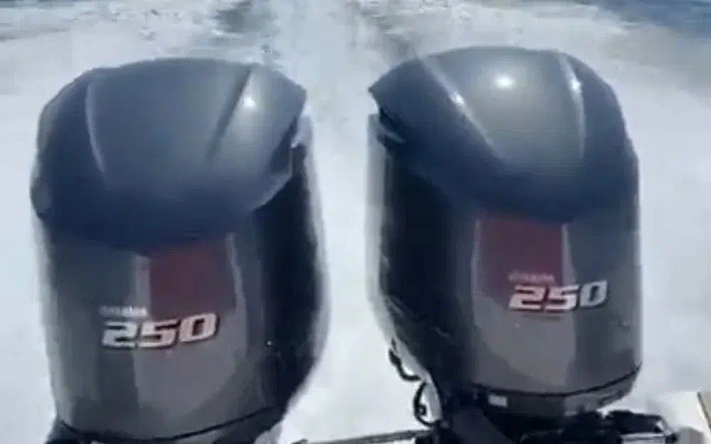 slider 8 MV Marine Mito 29