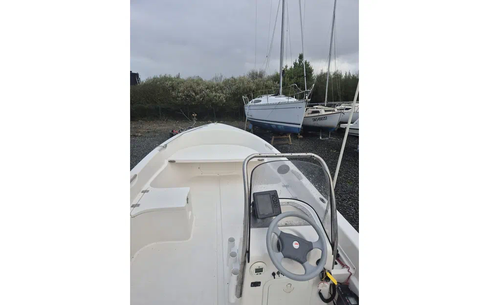 slider 12 Quicksilver 500 Fish