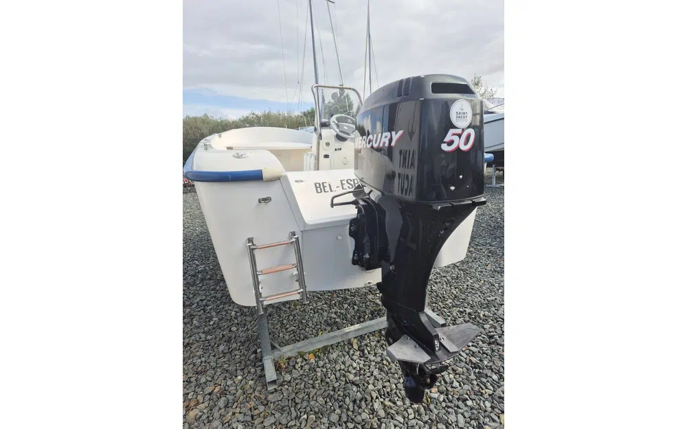 slider 6 Quicksilver 500 Fish