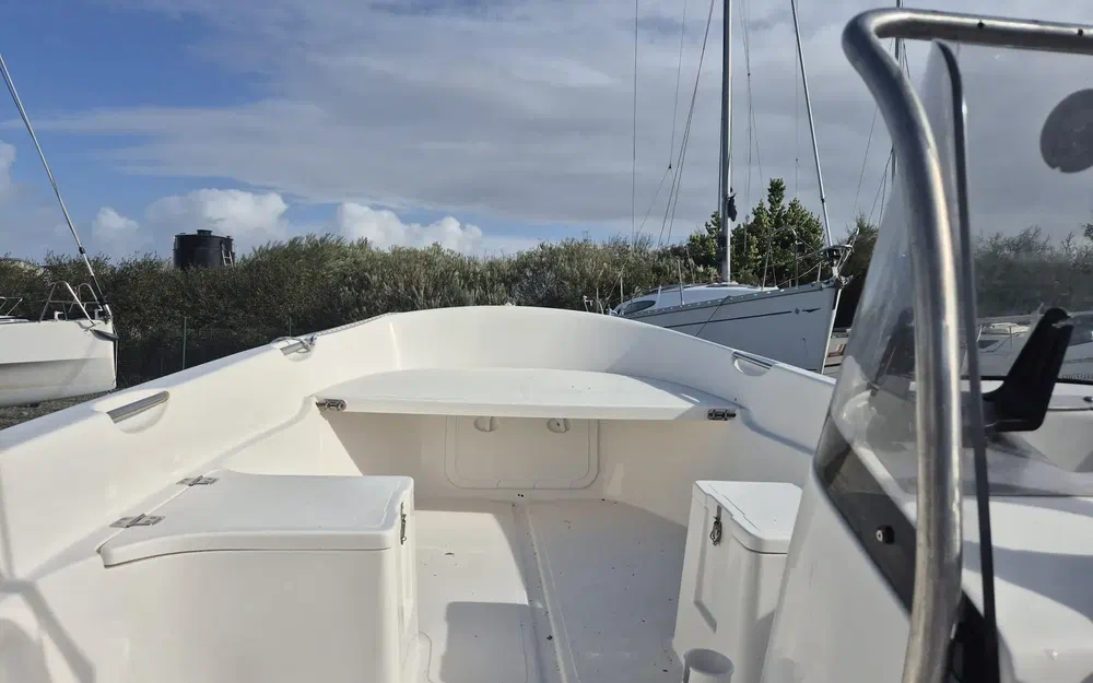 slider 7 Quicksilver 500 Fish