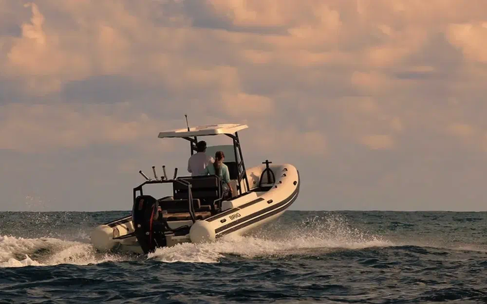 slider 19 Brig Navigator 22