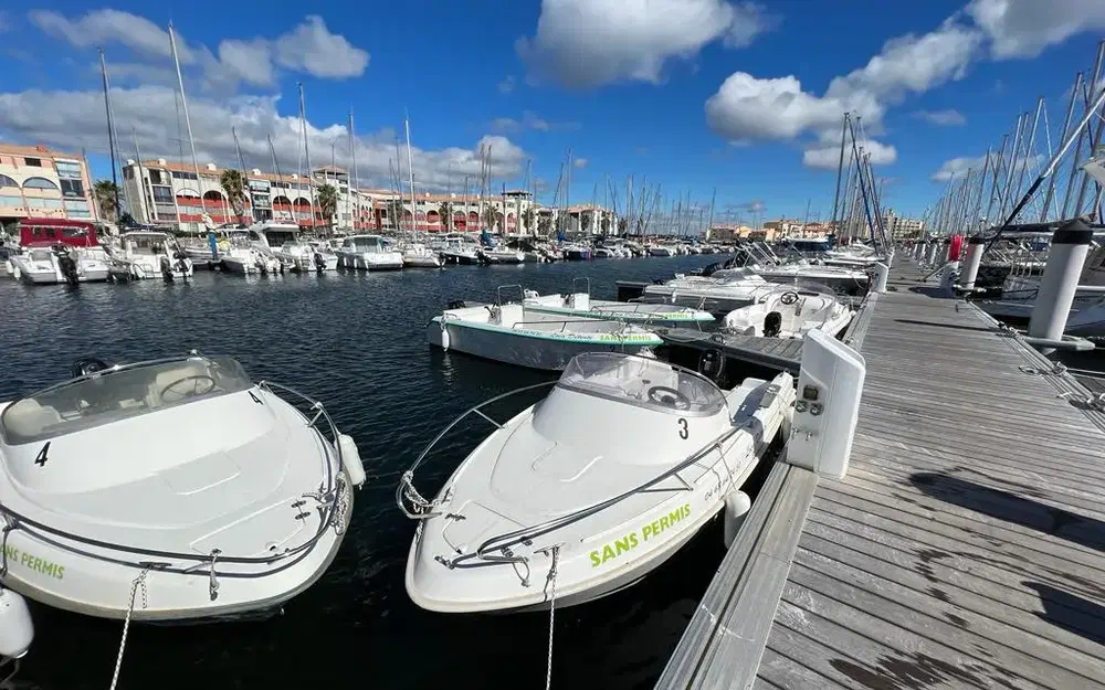 slider 0 B2 Marine Cap Ferret 472