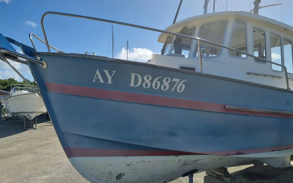 RheaRhea 28 Timonier