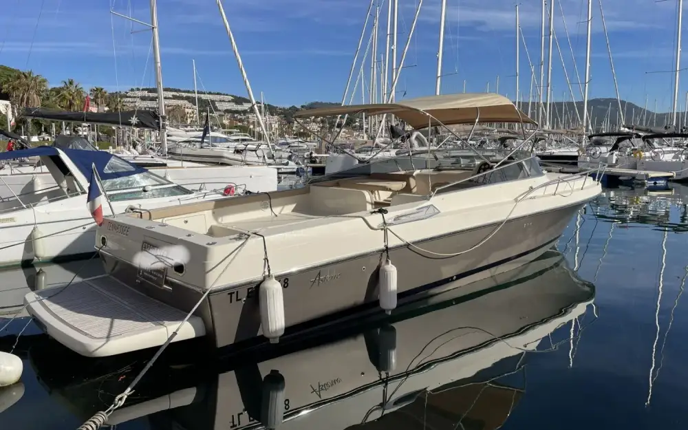 AsterieAsterie 40 Day Cruiser