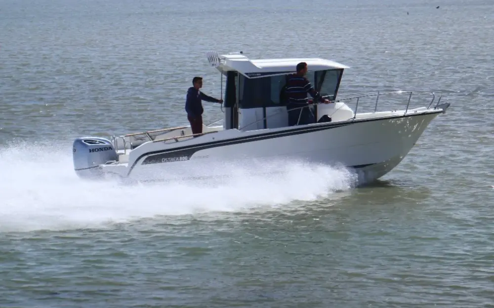 OcqueteauOstrea 710 Timonier