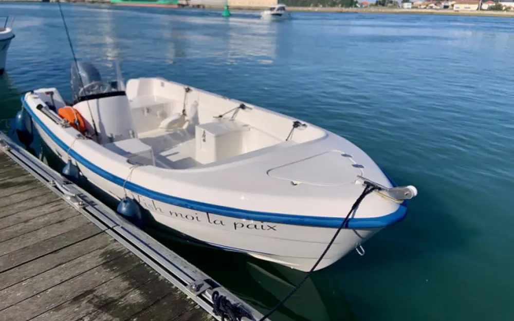 QuicksilverQuicksilver 500 Fish