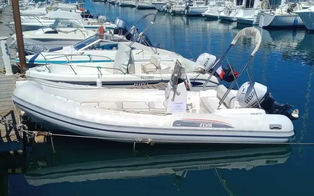 SelvaEvolution D.540