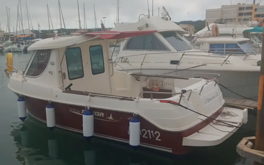 ArvorArvor 230 AS