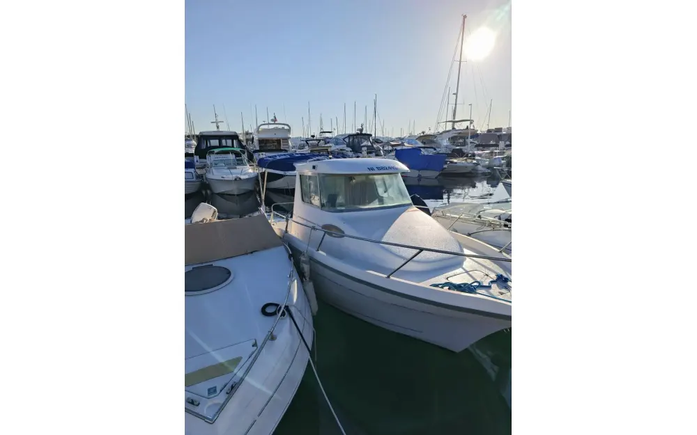 SBPEMEurofish 600