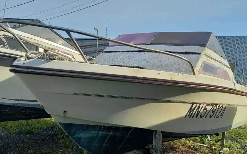 JeanneauSkanes 510