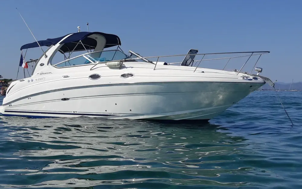Sea RaySea Ray 315 Sundancer