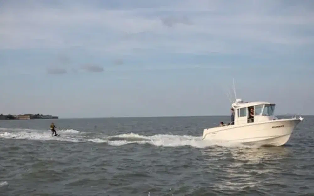 slider 2 Ocqueteau Ostrea 700