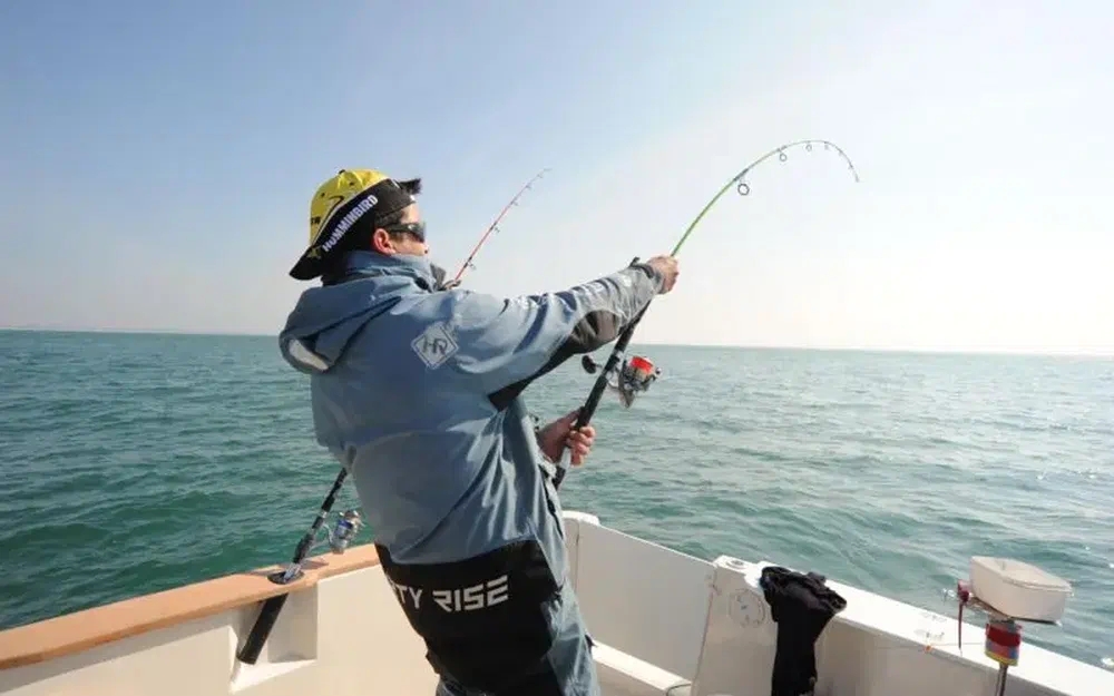 slider 3 Ocqueteau Ostrea 700